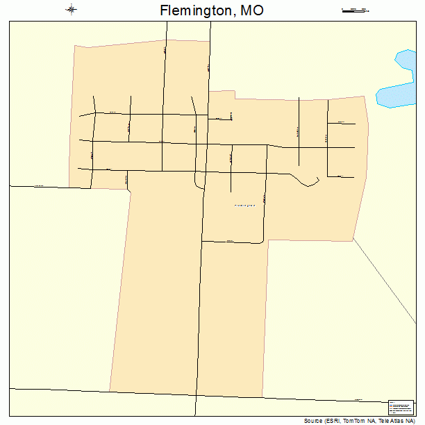 Flemington, MO street map