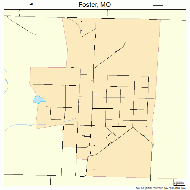 Foster, MO street map