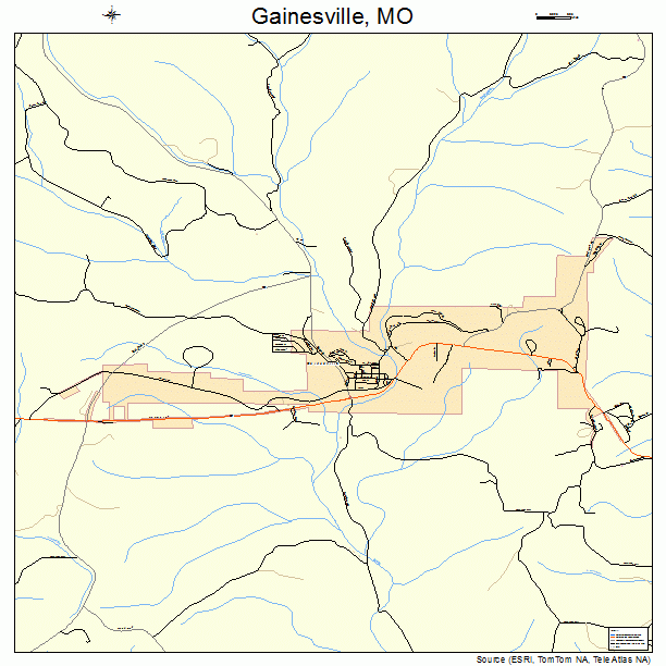 Gainesville, MO street map