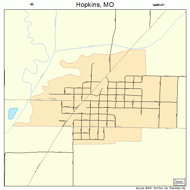 Hopkins, MO street map