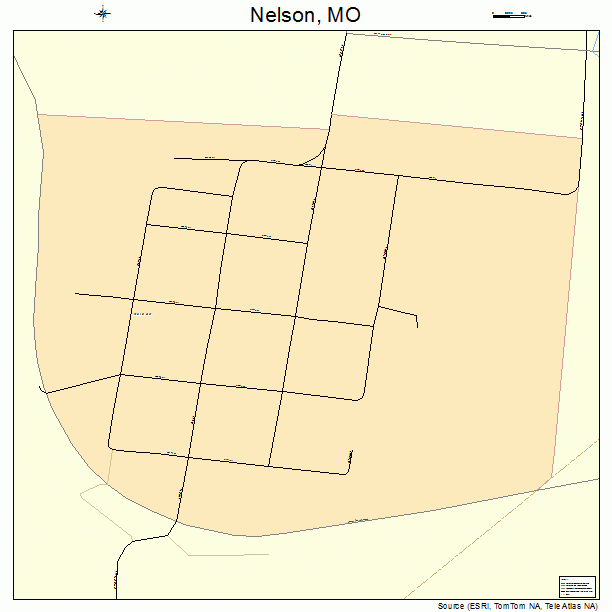Nelson, MO street map