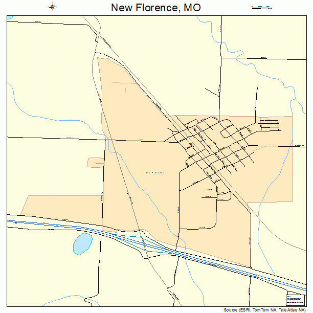 New Florence, MO street map
