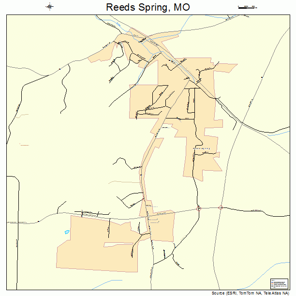 Reeds Spring, MO street map