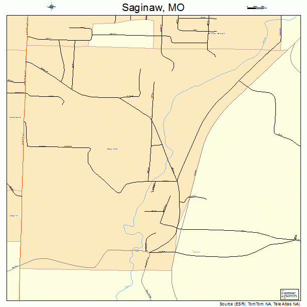 Saginaw, MO street map