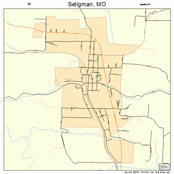 Seligman, MO street map