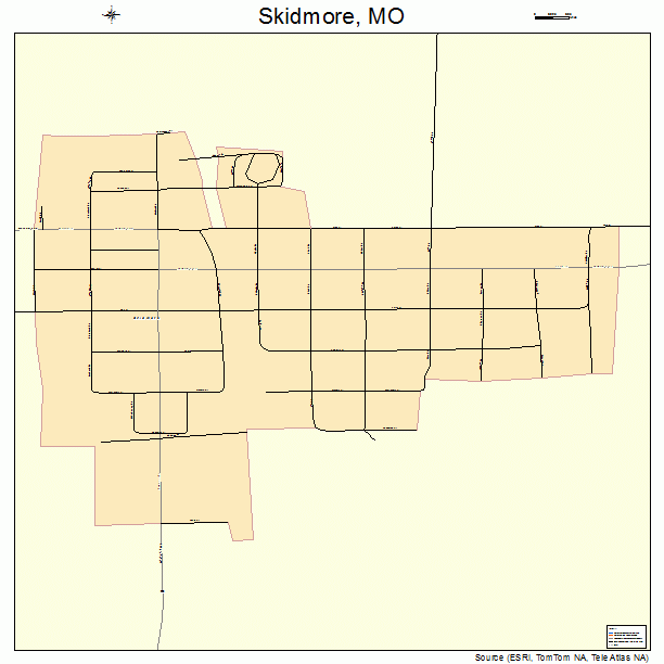 Skidmore, MO street map