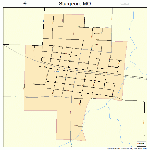 Sturgeon, MO street map