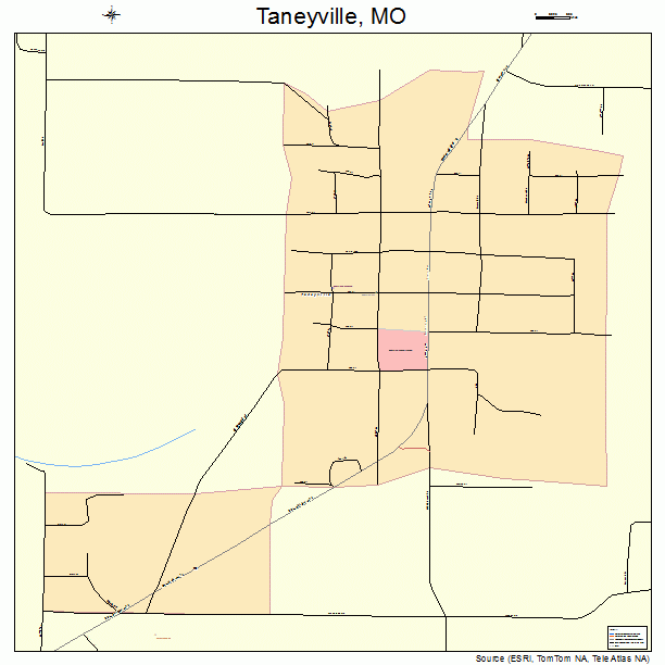 Taneyville, MO street map