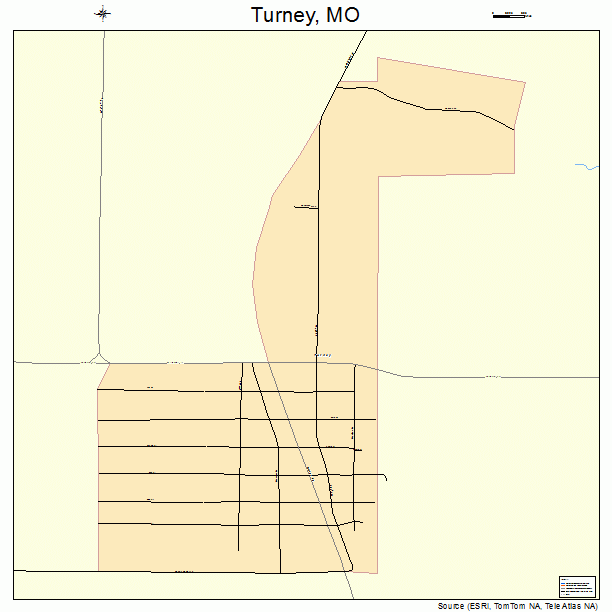 Turney, MO street map