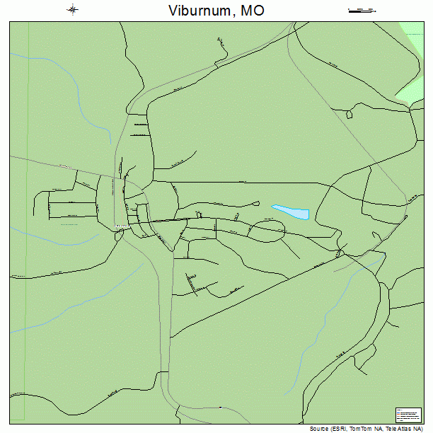 Viburnum, MO street map