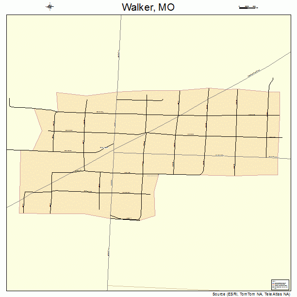 Walker, MO street map