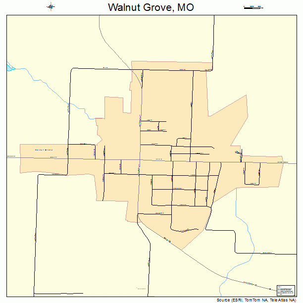 Walnut Grove, MO street map