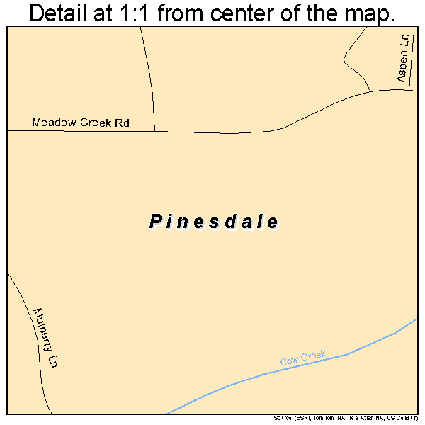 Pinesdale, Montana road map detail