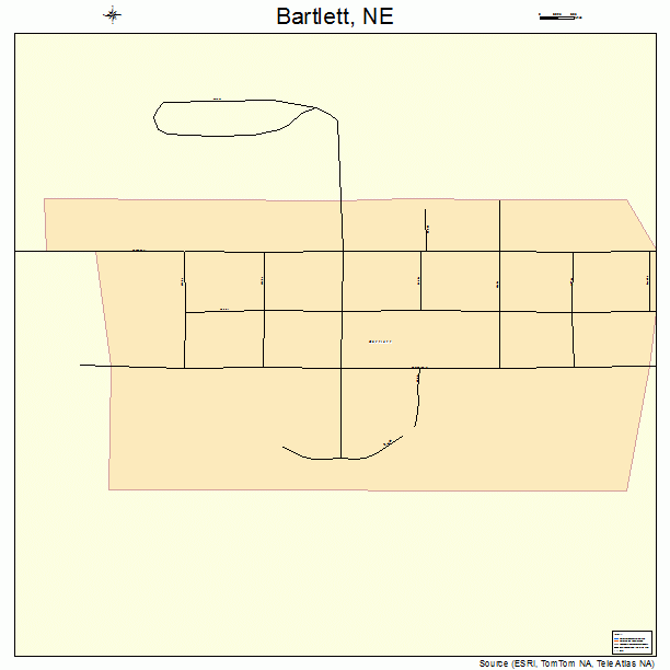 Bartlett, NE street map