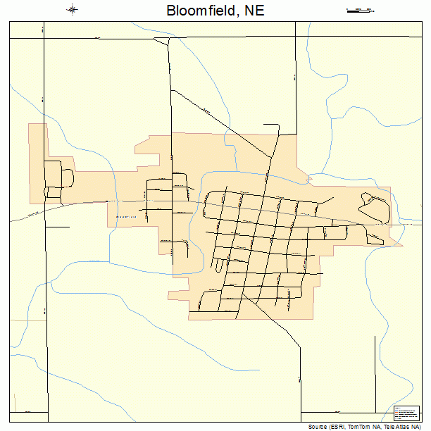 Bloomfield, NE street map