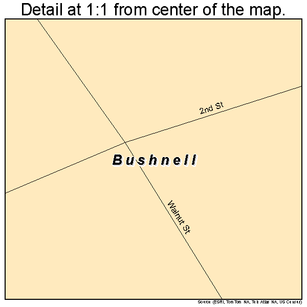 Bushnell, Nebraska road map detail