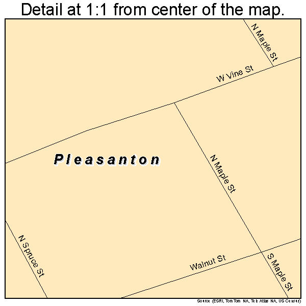 Pleasanton, Nebraska road map detail