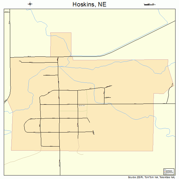 Hoskins, NE street map