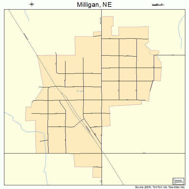 Milligan, NE street map