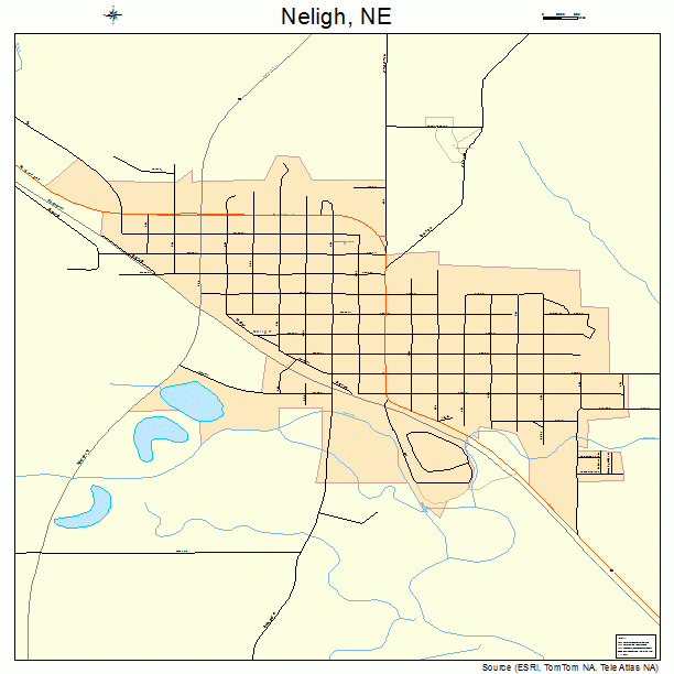 Neligh, NE street map