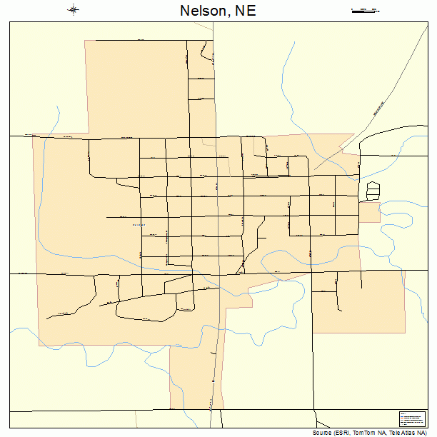 Nelson, NE street map