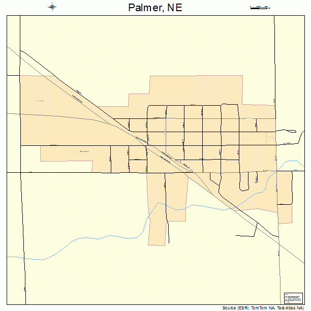Palmer, NE street map