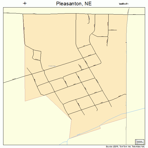 Pleasanton, NE street map