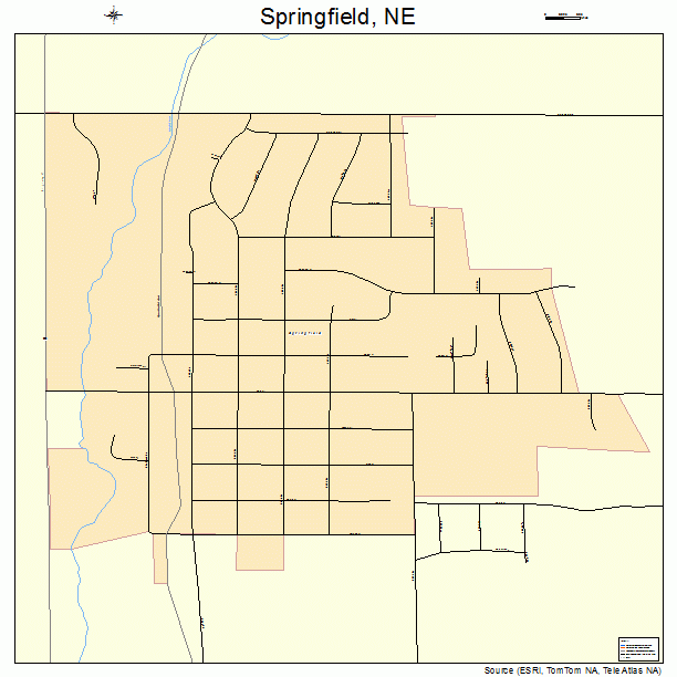 Springfield, NE street map
