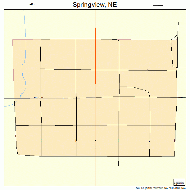 Springview, NE street map