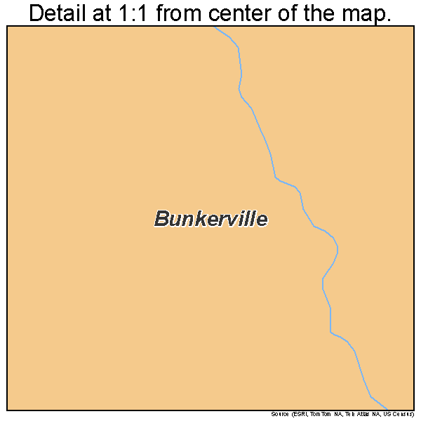 Bunkerville, Nevada road map detail