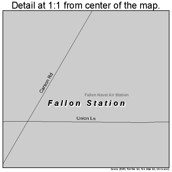 Fallon Station, Nevada road map detail