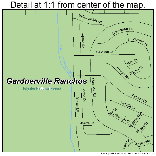 Gardnerville Ranchos, Nevada road map detail