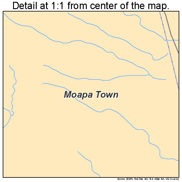 Moapa Town, Nevada road map detail