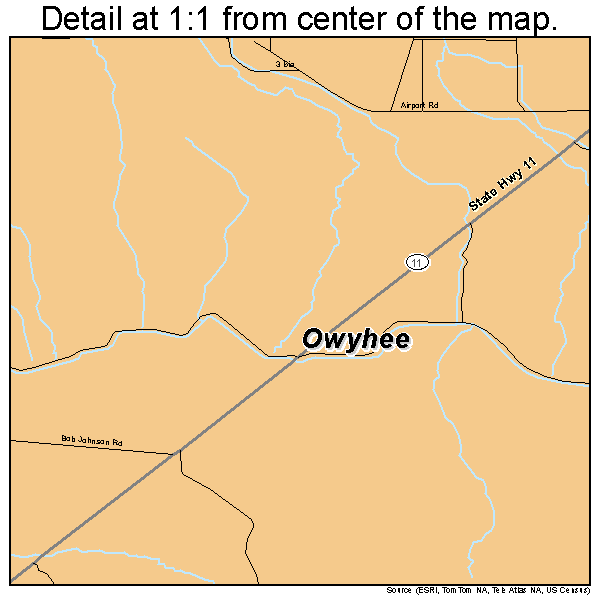 Owyhee, Nevada road map detail