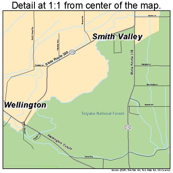 Smith Valley, Nevada road map detail