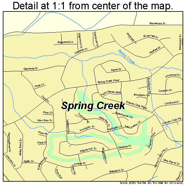 Spring Creek, Nevada road map detail