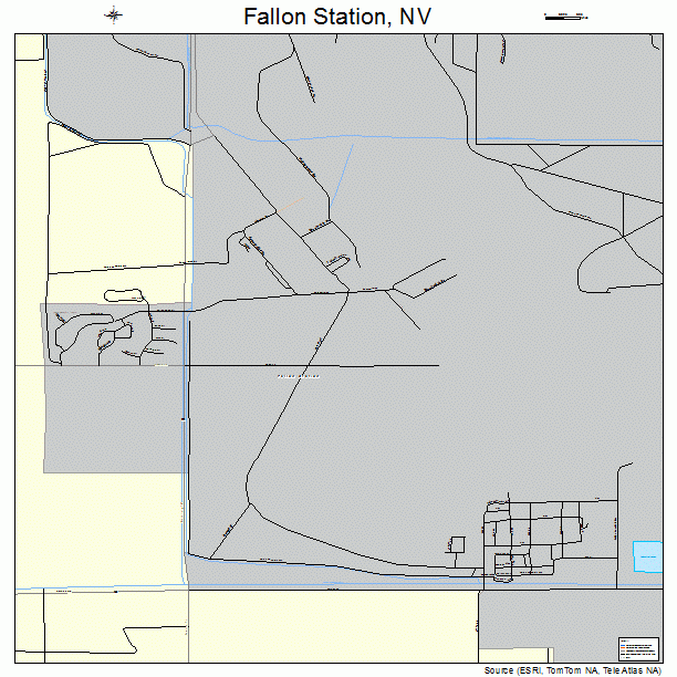 Fallon Station, NV street map