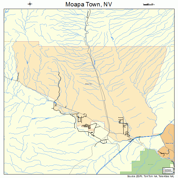 Moapa Town, NV street map
