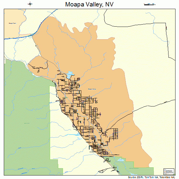 Moapa Valley, NV street map
