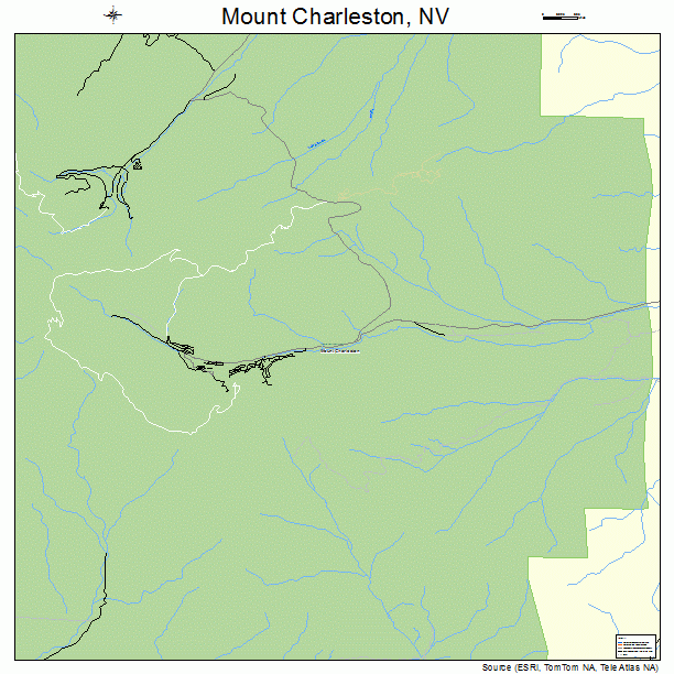 Mount Charleston, NV street map