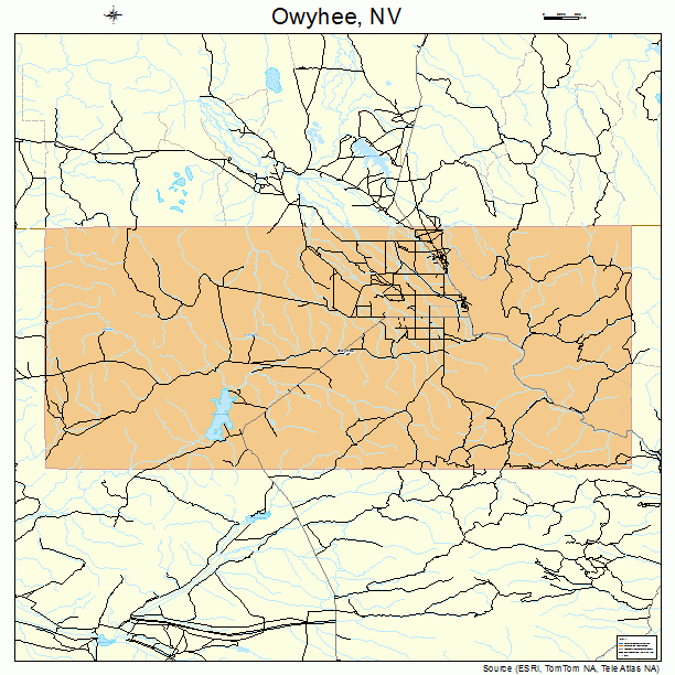 Owyhee, NV street map