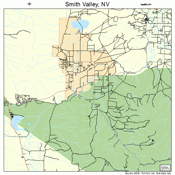 Smith Valley, NV street map