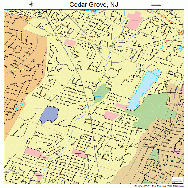 Cedar Grove New Jersey Street Map 3411230