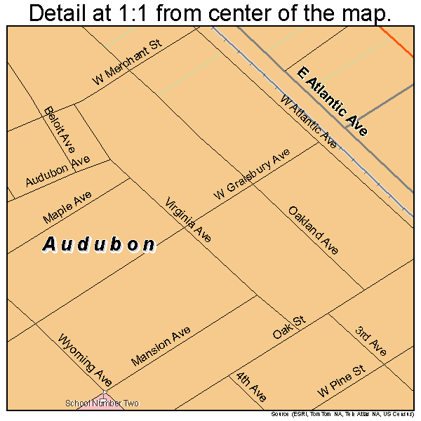 Audubon, New Jersey road map detail