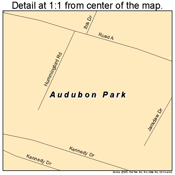 Audubon Park, New Jersey road map detail
