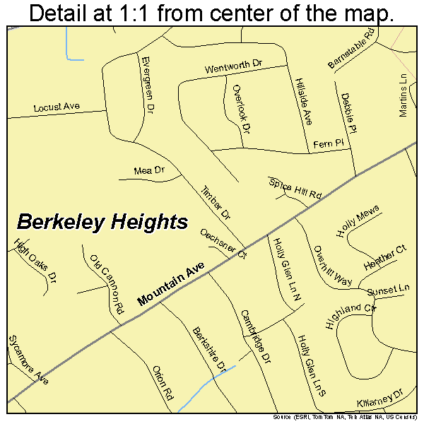 Berkeley Heights, New Jersey road map detail