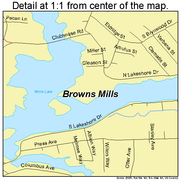 Browns Mills, New Jersey road map detail