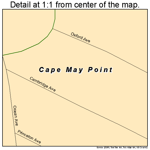 Cape May Point, New Jersey road map detail