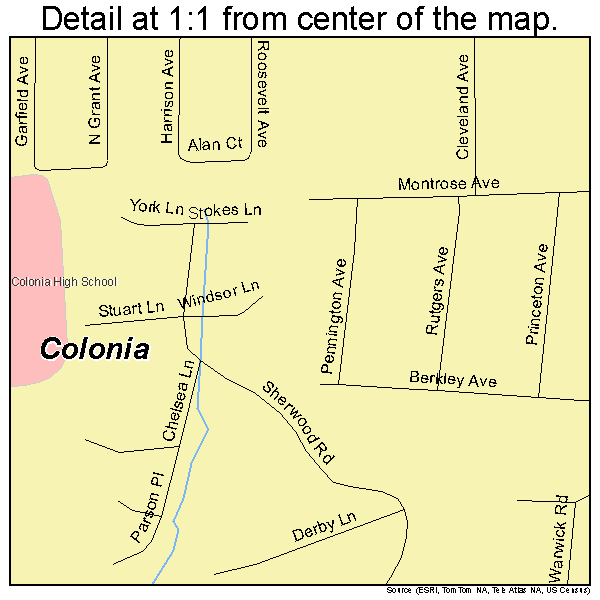 Colonia, New Jersey road map detail