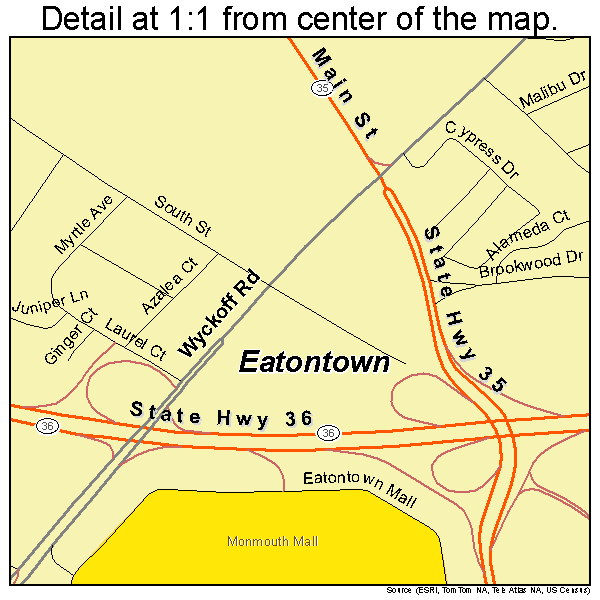 Eatontown, New Jersey road map detail